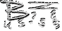 �Ɩ����e