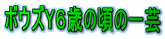 �{�E�YY�U�΂̍��̈�|